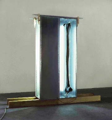 bone Boxes, 1993-94,40x168x40